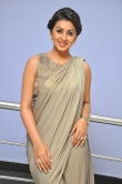 nikki-galrani-latest-pictures-321-00640