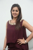 nikki-galrani-latest-stills-332-00557