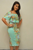 nikki-galrani-latest-stills-79043