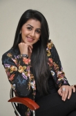 nikki-galrani-photo-gallery-300-00389