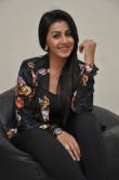 nikki-galrani-photo-gallery-300-00755