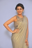 nikki-galrani-photo-gallery-777-00411