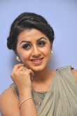 nikki-galrani-photo-gallery-77748