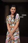 nikki-galrani-photos-258-00213