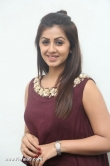 nikki-galrani-photos-337-00278