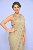 nikki-galrani-picture-gallery-555-00345