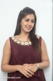 nikki-galrani-pictures-452-00332