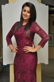 nikki-galrani-pictures-567-00197