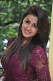 nikki-galrani-pictures-56763