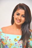 nikki-galrani-pictures-77746