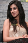 nikki-galrani-stills63