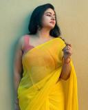 poonam-bajwa-in-yellow-saree-with-pink-blouse-photos-008