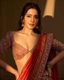 raashi-khanna-in-heavy-embroidery-lehenga-designs-dress-photos-008