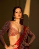 raashi-khanna-in-heavy-embroidery-lehenga-designs-dress-photos-012