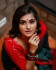 ramya nambeesan latest photoshoot in saree 012-004