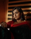 ramya nambeesan latest photoshoot in saree 012-005