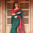 ramya nambeesan latest photoshoot in saree 012-009