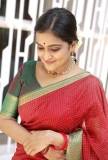 remya-nambeesan-latest-photos-in-saree-006