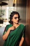 remya-nambeesan-latest-photos-in-saree-013