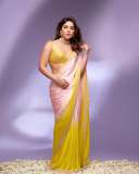 samyuktha-menon-cute-look-in-saree-photos-013