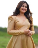 shaalin-zoya-in-golden-colour-gown-dress-images