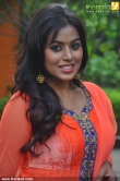 shamna_kasim_new_photos_-01199