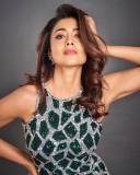 shriya-saran-in-latest-fashion-style-photos-026