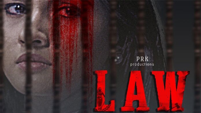 law kannada movie review