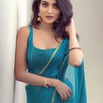 nandana varma glamorous photos in saree 001