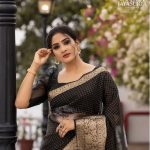 aditi ravi photos in saree hd 007