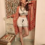 hansika motwani photos new 008