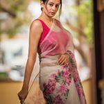 priyamani new photos in saree 011