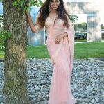 anjali new photos in pink saree latest images