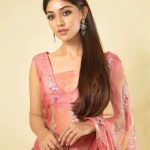 anu emmanuel hd saree photos