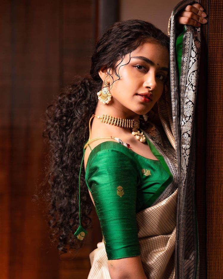 Anupama Hot in Transparent Saree - 15 Hot Photos