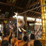 guruvayoor temple elephants race photos 001