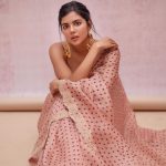 kalyani priyadarshan new photos in dot printed saree 001