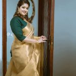 meghana raj latest pics in saree 003