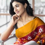 anju kurian saree look photos 003