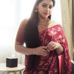 anu sithara beautiful photos in saree latest 004