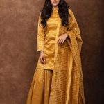 samyuktha menon in golden colour outfits 002