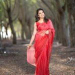 actress radhika in red saree images