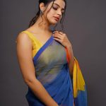 nikhila vimal in multi colour saree photos 001