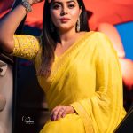 actress poorna in yellow saree photos 007