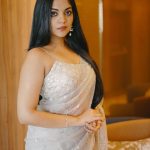 ahaana krishna in white net saree images 013