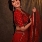 anupama parameswaran in red saree photos 005