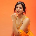 kalyani priyadarshan in orange shade dress photos 001