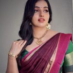 malavika menon beautiful look in saree photos 005