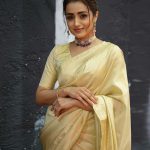 trisha krishnan in golden colour saree images