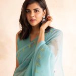 kalyani priyadarshan new photos in saree 091 001